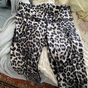 Shop Talulah Leopard Print Leggings